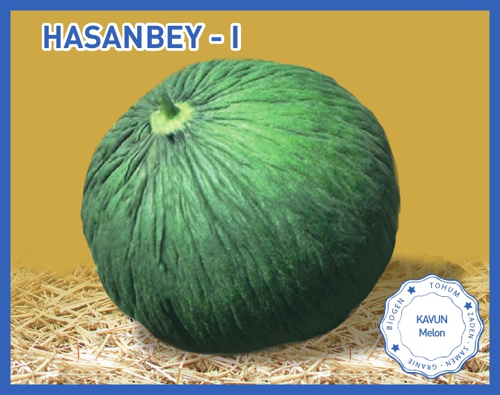 HASANBEY 1