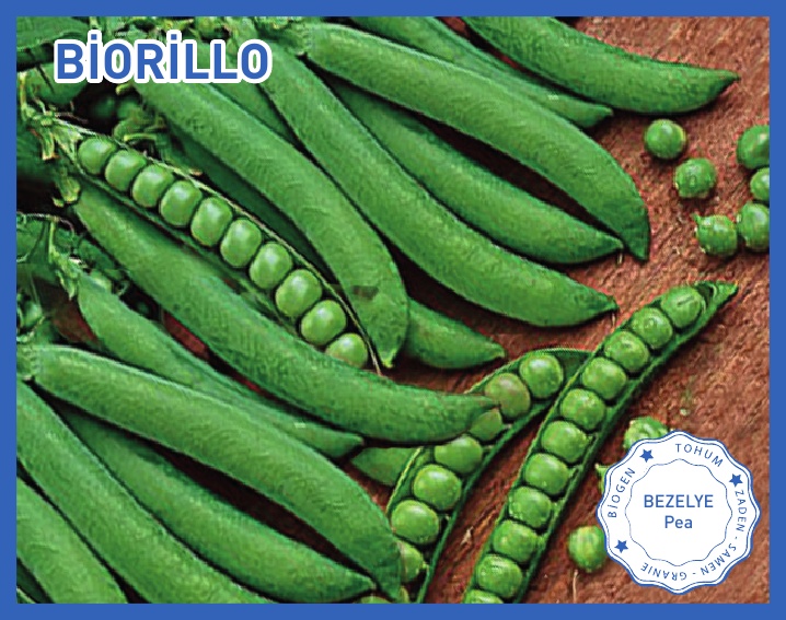 BİORİLLO