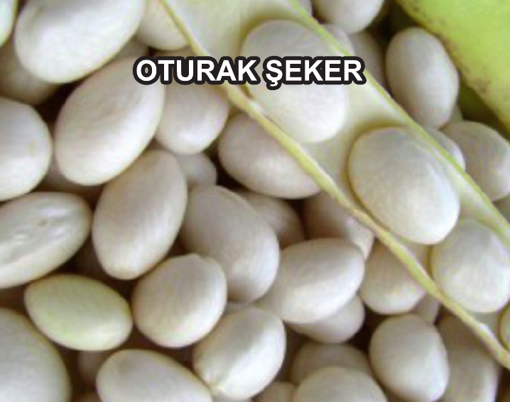 OTURAK ŞEKER